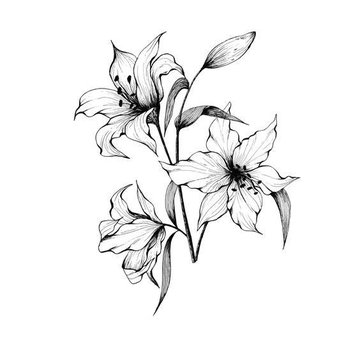 Lilien Tattoo Bedeutung