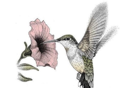 Kolibri Tattoo Bedeutung