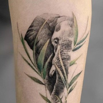 elefanten Tattoo bedeutung