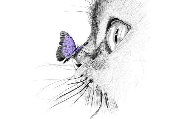 katzen tattoos vorlagen