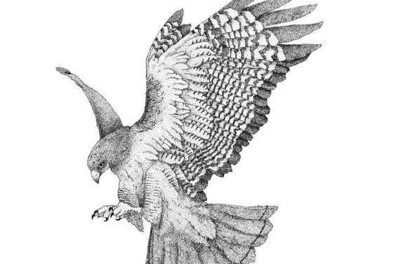 Falken Tattoo bedeutung