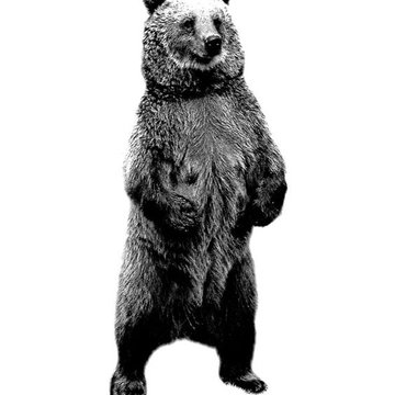 Bär Tattoo Vorlagen