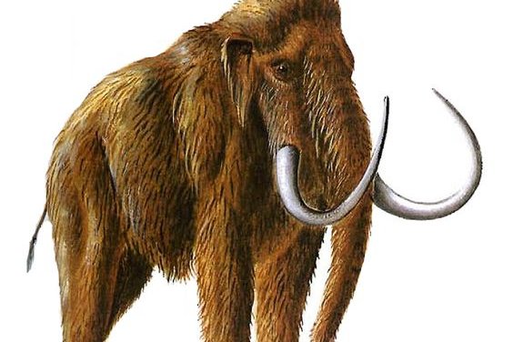 Mammut Tattoo bedeutung
