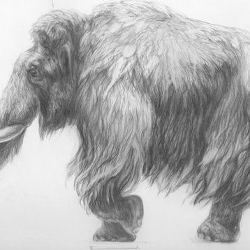 Mammut Tattoo bedeutung