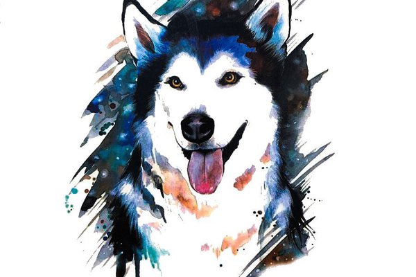 Husky Tattoo vorlagen