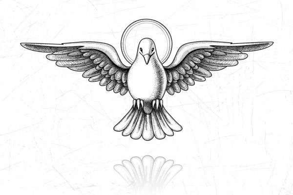 Taube Tattoo Bedeutung