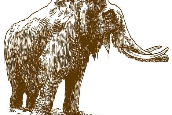 Mammut Tattoo bedeutung