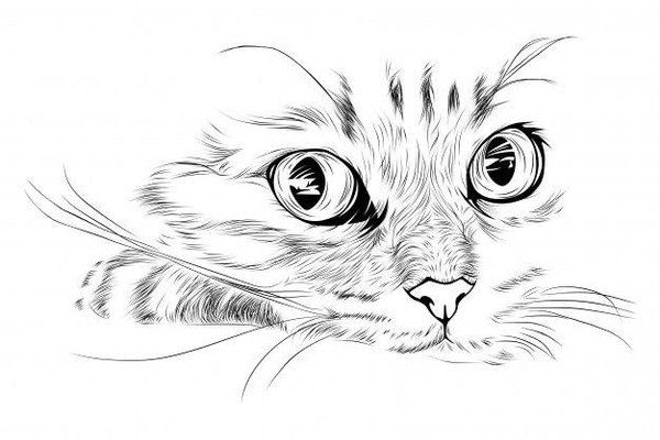 katzen tattoos vorlagen