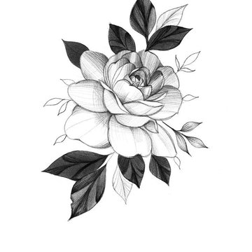 Kamelie Tattoo Bedeutung