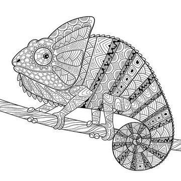 Leguan Tattoo Bedeutung