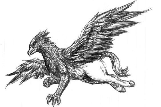 greif tattoo bedeutung