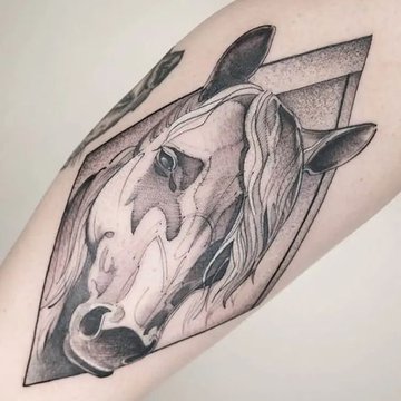 Pferde Tattoo Vorlagen