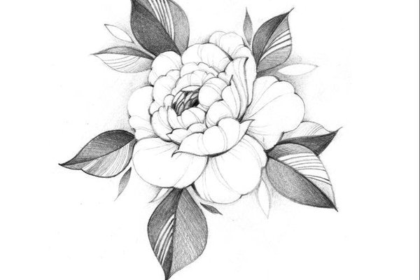 Kamelie Tattoo Bedeutung