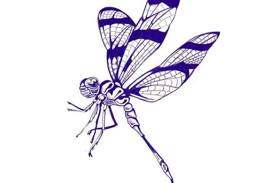 Libelle Tattoo bedeutung
