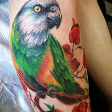 Papagei Tattoo bedeutung