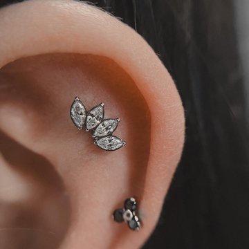 Piercing trining course in Berlin