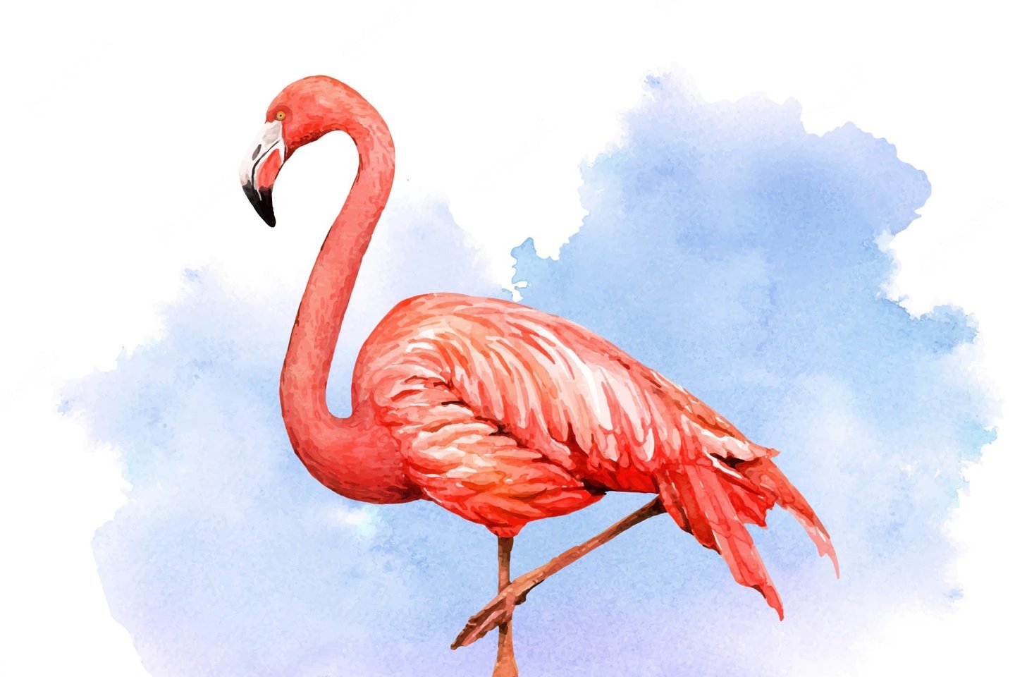 Flamingo Tattoo bedeutung