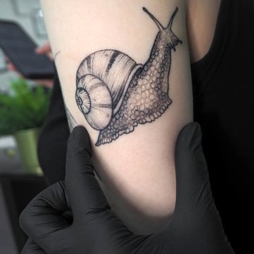 schnecke tattoo bedeutung