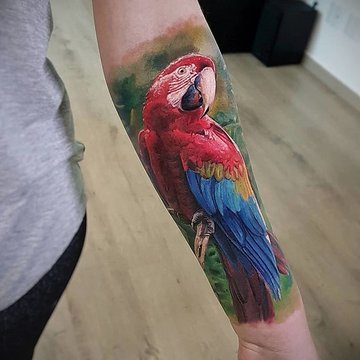 Papagei Tattoo bedeutung