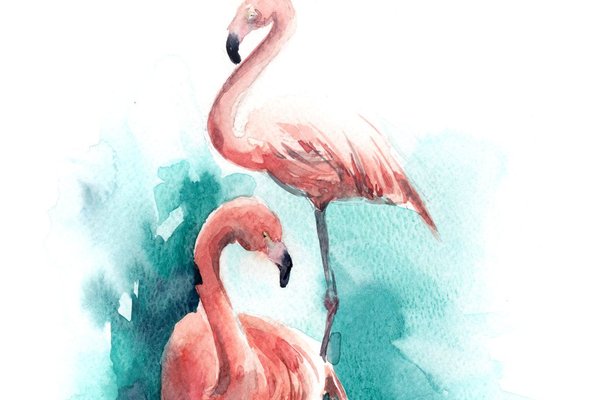Flamingo Tattoo bedeutung