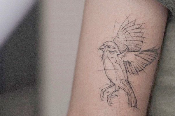 vögel tattoo bedeutung