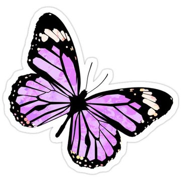 schmetterling tattoo bedeutung