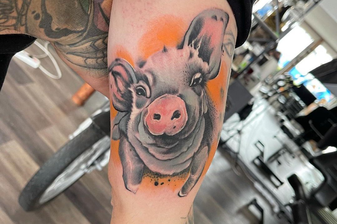 Tattoo Skizze Schwein
