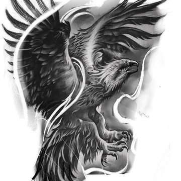habicht tattoo