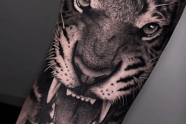 tattoo vorlagen tiger