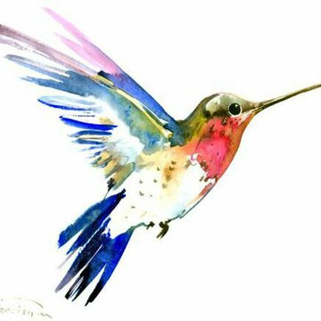 Kolibri Tattoo Bedeutung