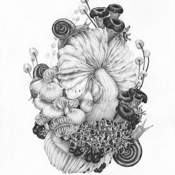 Pilz Tattoo Bedeutung