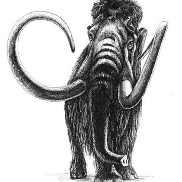 Mammut Tattoo bedeutung