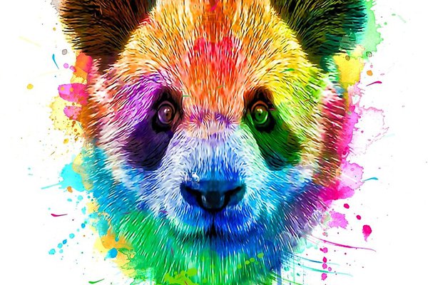 Panda Tattoo vorlagen
