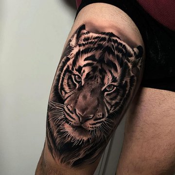 tattoo vorlagen tiger