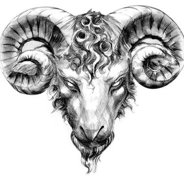 Widder Tattoo Bedeutung