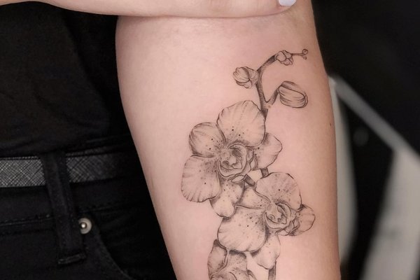 Frauenarm-Tattoos