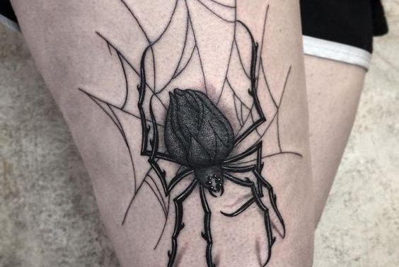 Spinnen Tattoo vorlagen