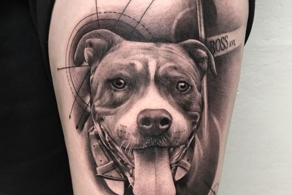 Pitbull Tattoo bedeutung