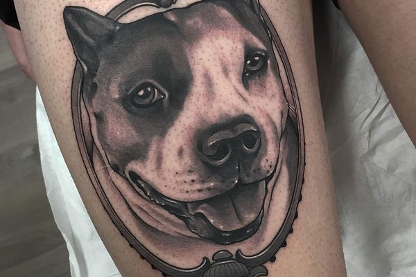 Pitbull Tattoo bedeutung