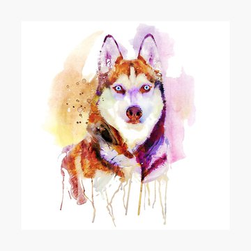 Husky Tattoo vorlagen