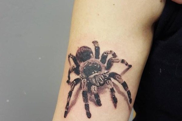 Spinnen Tattoo vorlagen