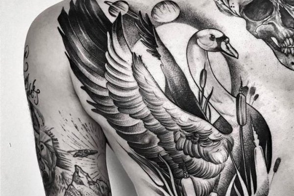 Schwan Tattoo Bedeutung