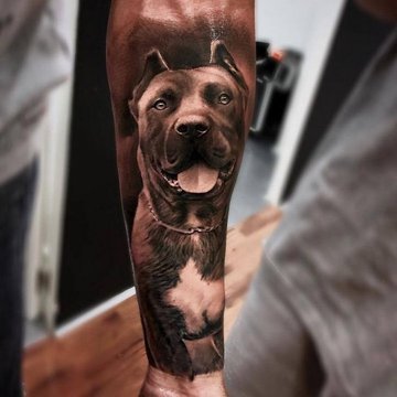 Pitbull Tattoo bedeutung