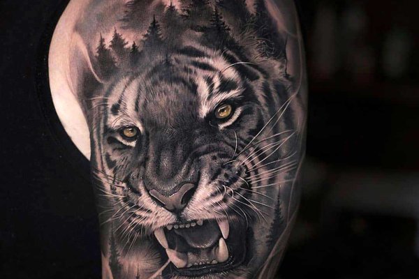 tattoo vorlagen tiger