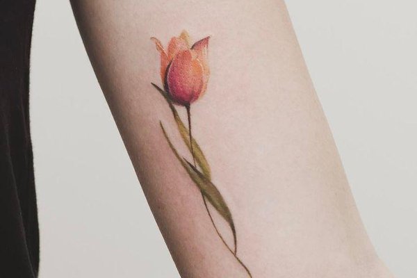 tulpen tattoo bedeutung