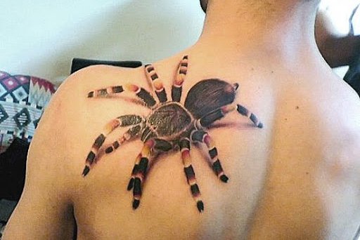 Spinnen Tattoo vorlagen